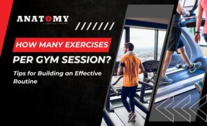 how many exercises per gym session